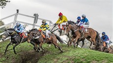 V sobotu se na pardubickém dostihovém závodi�ti uskute�nil poslední mítink...