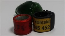 V �aludku orla mo�ského se ukrývaly dva chovatelské krou�ky po�tovního holuba.