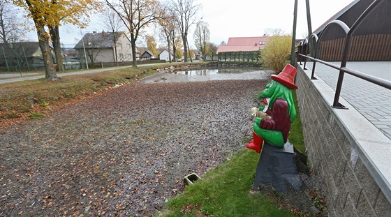 Pestrobarevný vodník sedící na behu rybníka je poznávacím znamením dírce.