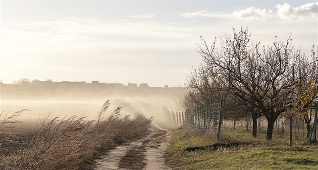 Kv�li ka�doro�ním vysokým teplotám a nedostatku de�t� je p�da na Kyjovsku...