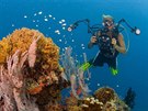 Pro potápe je Palau jednou z nejoblíbenjích destinací na svt. Na cestu si...