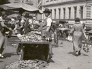 Trhovci v Purkyov ulici v Moravské Ostrav (30. léta dvacátého století)