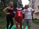Výtvarník Miroslav Novák krávy zrestauroval