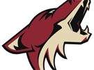 Logo Arizona Coyotes