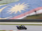Valentino Rossi pi Velké cen Malajsie.