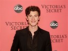 Zpvák Shawn Mendes na Victoria's Secret Fashion Show afterparty (8. 11. 2018,...