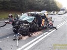 Při nehodě dvou osobních aut u Číhaně na Klatovsku zemřeli dva lidé. Další tři...