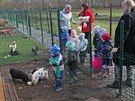 V netradiní mateské kole ve Svinov tráví dti as péí o zvíata i o...