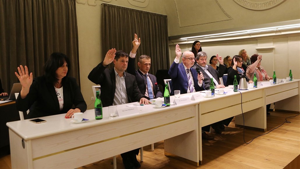 Hlasování zastupitelů v Havlíčkově Brodě. Na snímku je všech sedm radních.