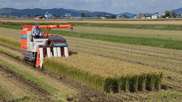 Japont farmi pi sklizni re v dol Furano.
