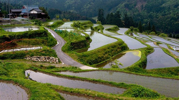 Zaplaven rov polka u japonsk vesnice Hata v Prefektue iga
