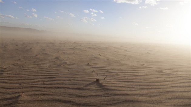 Pole na Kyjovsku po prachovch bouch pipomnaj africkou Saharu.