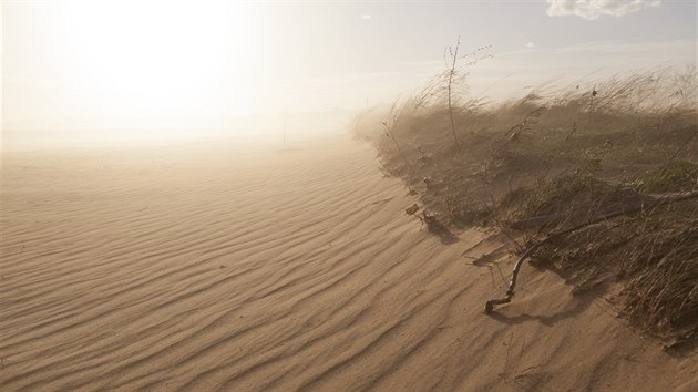 Pole na Kyjovsku po prachových bouřích připomínají africkou Saharu.