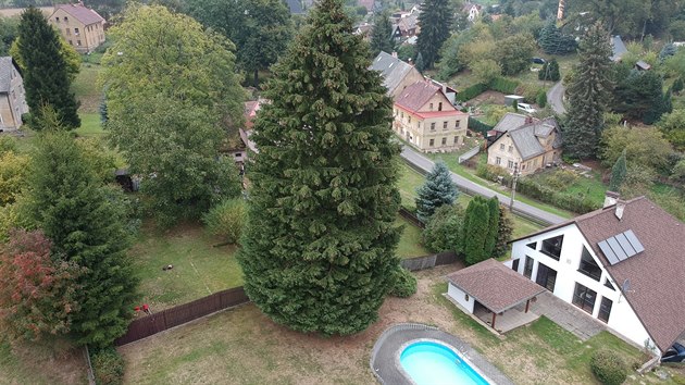 Vánoční strom pro Prahu pochází z Libereckého kraje.