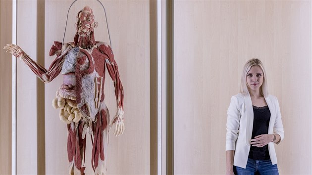 Vypreparovaná mužská těla na Fakultě biomedicínského inženýrství ČVUT, která jsou jsou vyrobena takzvanou plastinací. (5.11.2018)