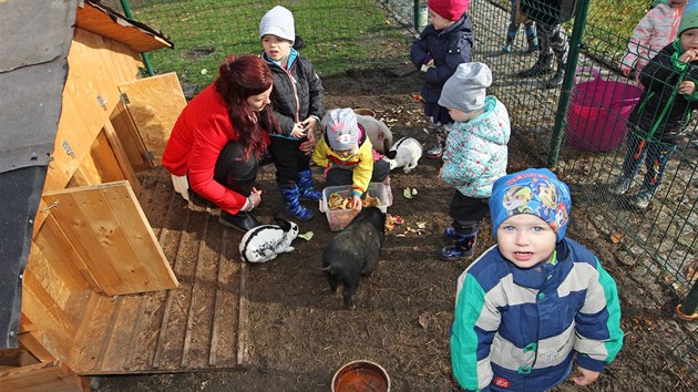 V netradiční mateřské škole ve Svinově tráví děti čas péčí o zvířata či o zahradu.