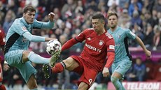 Robert Lewandowski v dresu Bayernu Mnichov