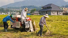 Japontí farmái pi sklizni rýe nedaleko msteka Oita.