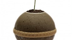 Bio urna, z n me vyrst rostlina.