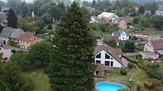 Vánoní strom pro Prahu pochází z Libereckého kraje.
