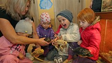 V netradiční mateřské škole ve Svinově tráví děti čas péčí o zvířata či o...
