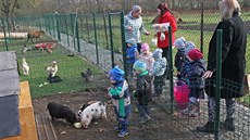 V netradiční mateřské škole ve Svinově tráví děti čas péčí o zvířata či o...