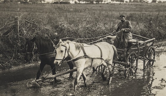 Nmecký voják veze svým kolegm potu bhem boj 1. svtové války (1914)