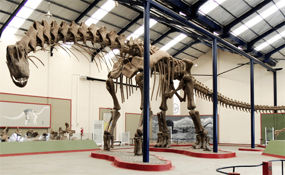 Gigantická kostra titanosaurního sauropoda druhu Argentinosaurus huinculensis v...