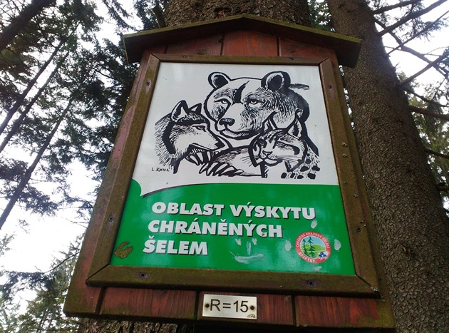 Oblastí beskydské hory Smrk na Frýdecko-Místecku elmy bn procházejí. (15....