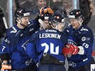 Gólová radost finských hokejist v utkání se védskem.
