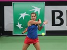 Barbora Strýcová hraje forhend ve finále Fed Cupu proti výbru USA.