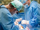 Uniktn zkrok provedli plastit chirurgov z Fakultn nemocnice v Olomouci....