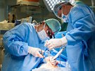 Uniktn zkrok provedli plastit chirurgov z Fakultn nemocnice v Olomouci....