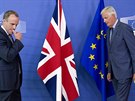 Ministr pro brexit Dominic Raab (vlevo) a šéfvyjednávač EU pro brexit Michel...