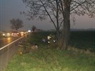 Policie vyetuje nehodu, pi kter idika vezouc dv dti nedaleko Olomouce...