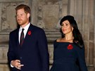 Princ Harry a vévodkyn Meghan (Londýn, 11. listopadu 2018)
