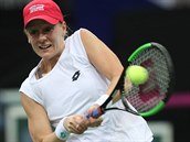 Američanka Alison Riskeová ve fedcupovém finále proti Kateřině Siniakové