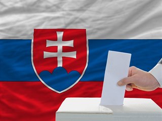 Volby, Slovensko, ilustrační snímek
