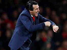 Trenr Arsenalu Unai Emery gestikuluje bhem utkn s Wolverhamptonem.