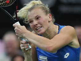 Kateina Siniakov ve finle Fed Cupu