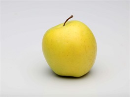 Golden Delicious / Norma Praha 4