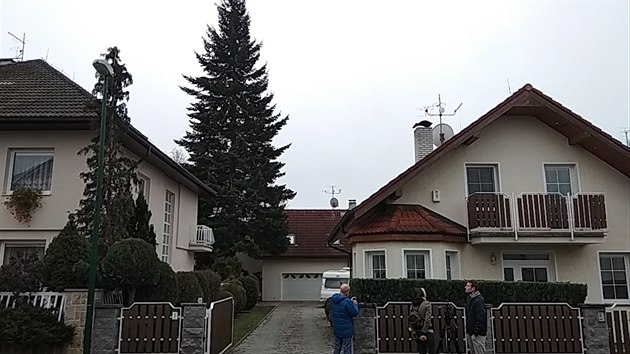 Kácení vánočního stromu pro Plzeň
