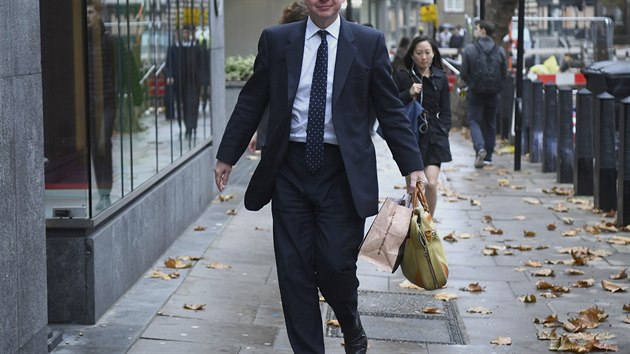 Britsk ministr pro ivotn prosted Michael Gove (16. listopadu 2018)