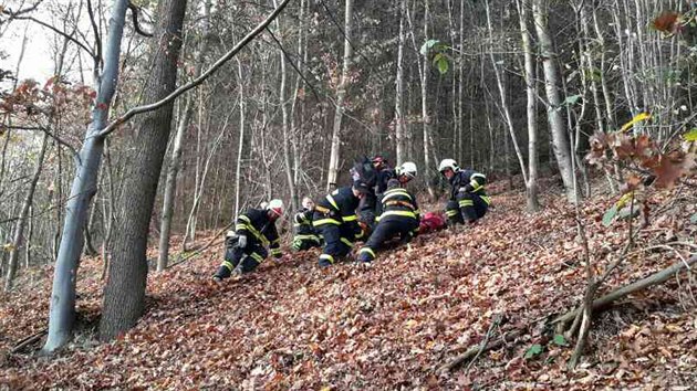 Paraglidistka uvzla u Lipnku nad Bevou v korunch strom ve zhruba patnctimetrov vce. Hasii ji dostali nejprve zpt na zem a pot penesli k sanitce.