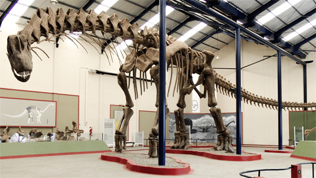 Gigantick� kostra titanosaurn�ho sauropoda druhu Argentinosaurus huinculensis v expozici muzea Museo Municipal Carmen Funes ve m�st� Plaza Huincul (provincie Neuqu�n, Argentina). Kostra je dlouh� bezm�la 40 metr� a v nejvy���m bod� h�betu dosahuje v��ky 7,3 metru. �lov�k si pod jej�m hrudn�m ko�em p�ipad� tak�ka nicotn�.