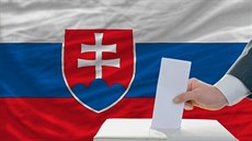 Volby, Slovensko, ilustraní snímek