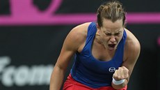 Barbora Strýcová slaví vítzný mí ve finále Fed Cupu.