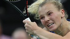 Kateina Siniaková ve finále Fed Cupu
