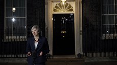 Britská premiérka Theresa Mayová ve stedu veer oznámila, e podporu svých...