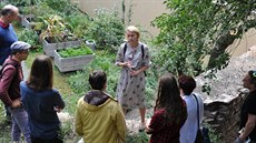 P�ehlídka vnitroblok� se konala 15. zá�í.